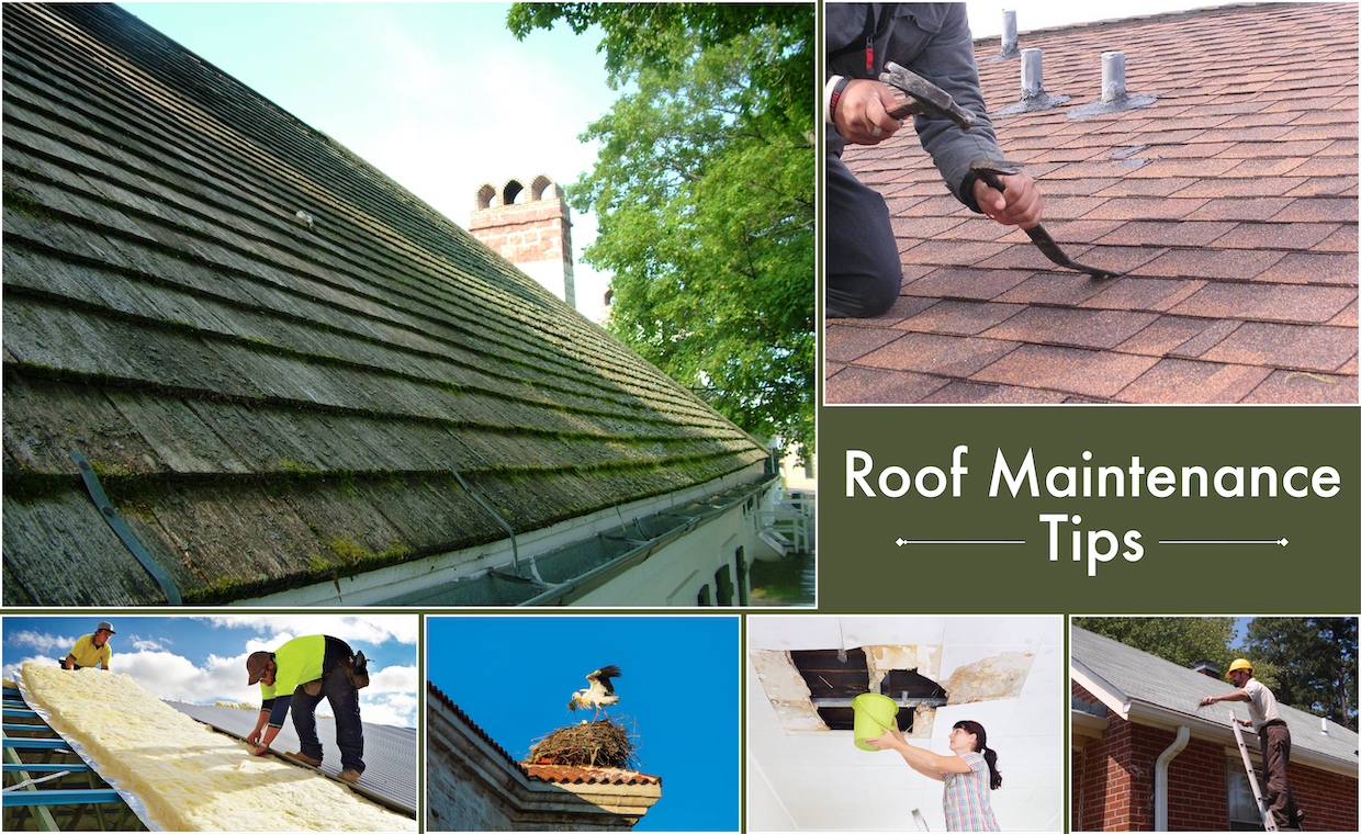 Essential Roof Maintenance Tips to Extend Your Roof’s Lifespan & Save Money